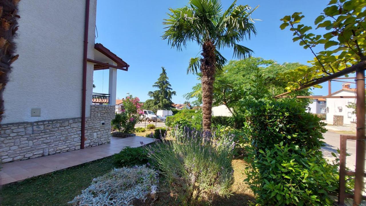 Apartments Nina, Pinta & Santa Maria Nova Vas  Екстер'єр фото