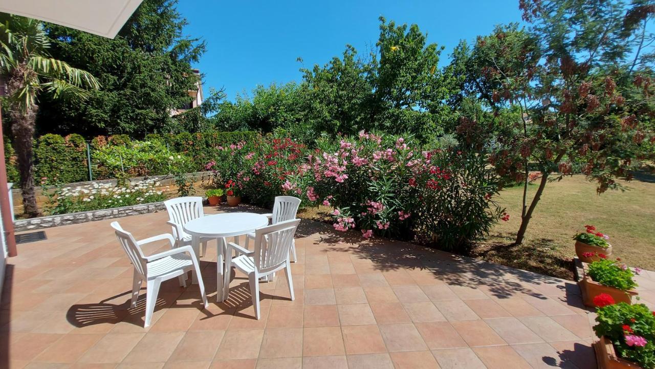 Apartments Nina, Pinta & Santa Maria Nova Vas  Екстер'єр фото
